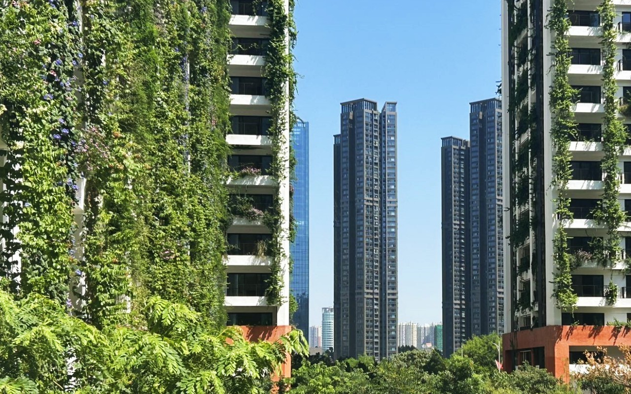 泰华梧桐聚落花园(梧桐村) 图片2