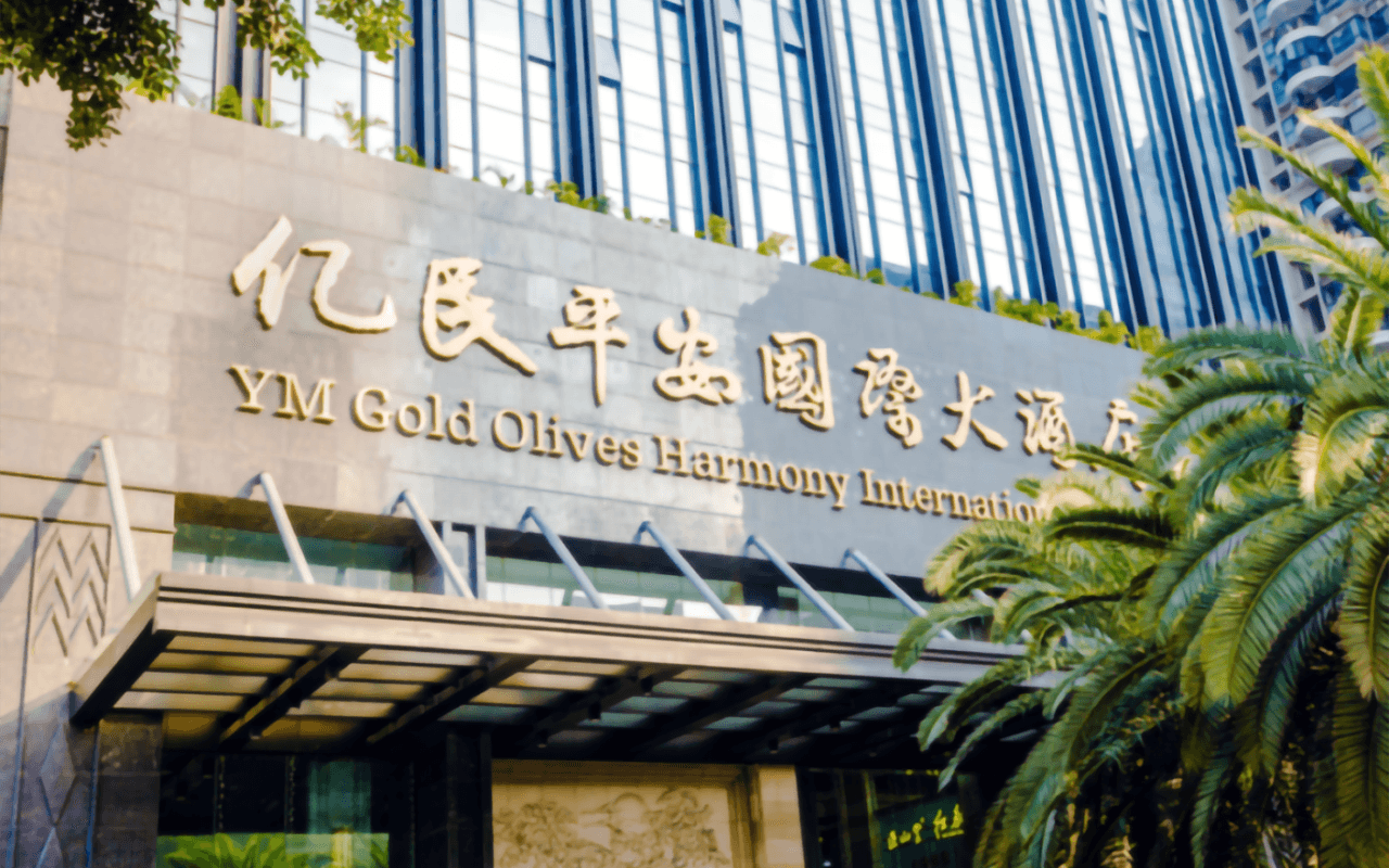 橄榄大厦(亿民平安国际大酒店) 图片1