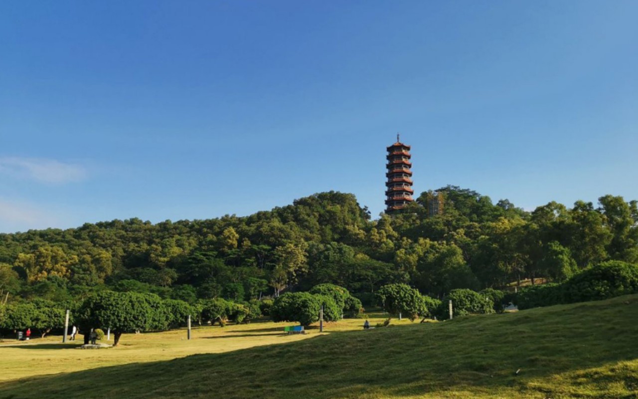 悦见公园里 图片4
