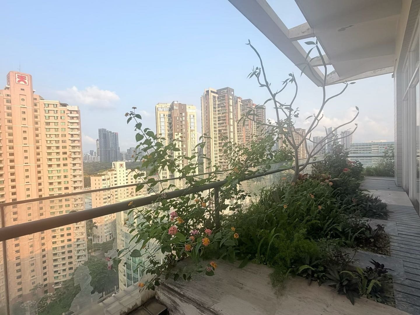 创新科技广场一期 360㎡ 精装 高层办公室出租