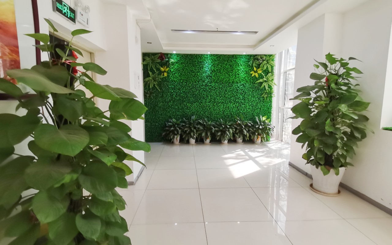 友情基地 图片2