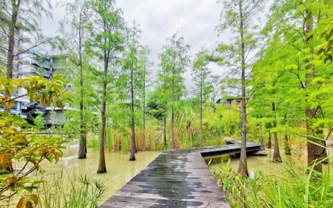 泰华梧桐聚落花园(梧桐村) 图片4