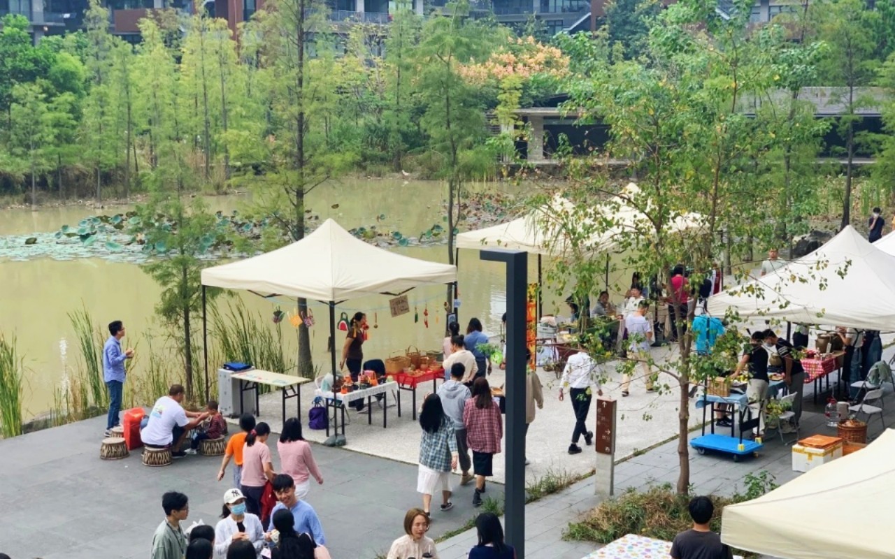 泰华梧桐聚落花园(梧桐村) 图片5