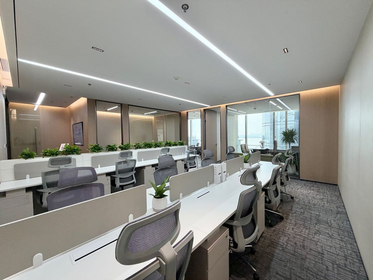 中洲湾 C FutureCity210㎡豪装写字楼(福田区沙头) 近下沙站实景图