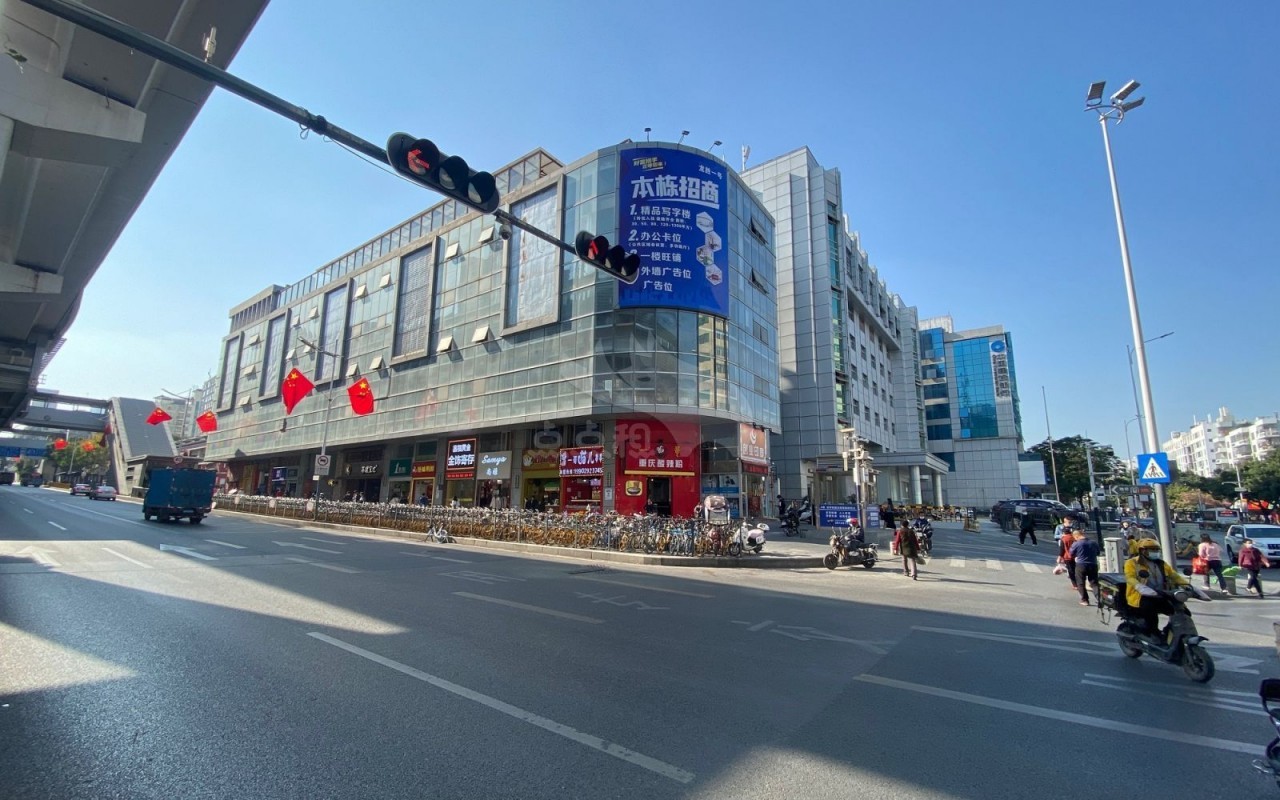 龙胜一号 图片1