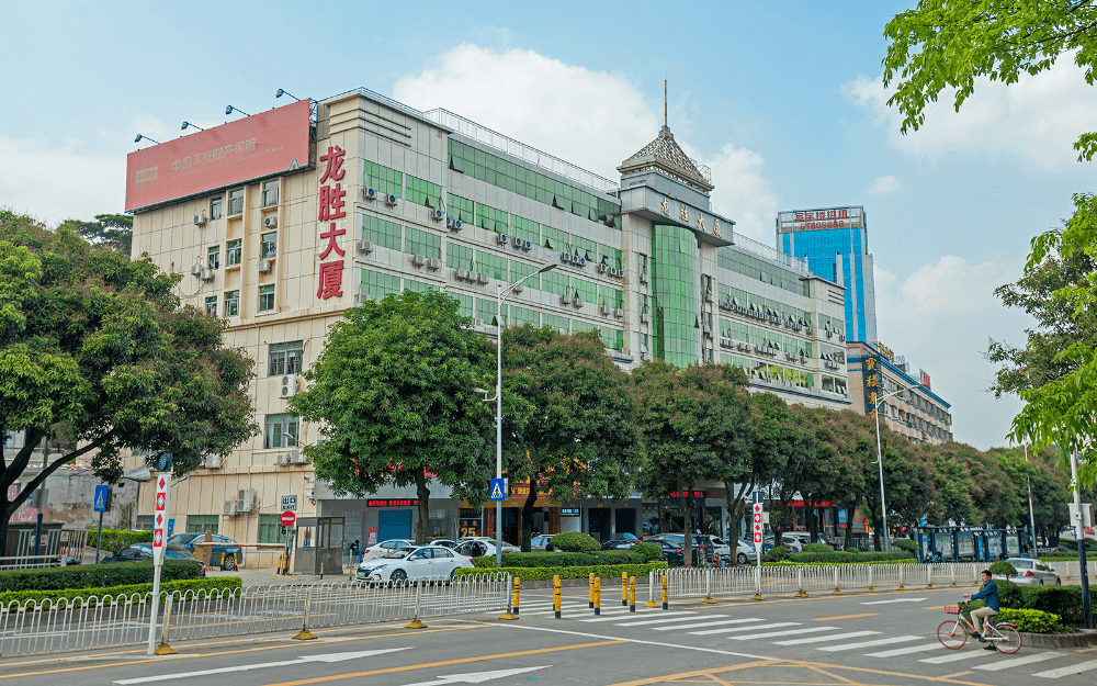 龙胜大厦实景图