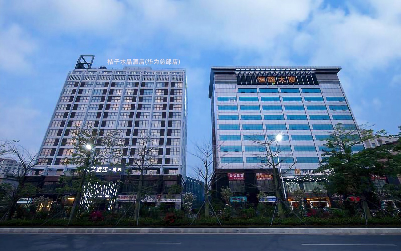 桔子水晶酒店(华为总部店) 图片1