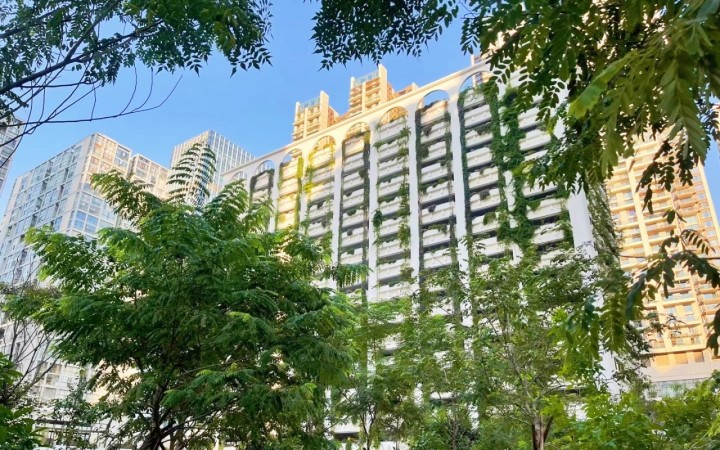 泰华梧桐聚落花园(梧桐村)