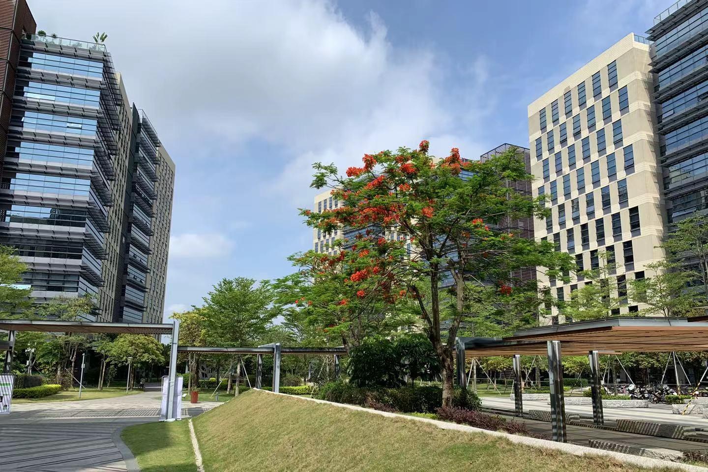 TCL科学园国际E城 235.77㎡ 精装 中楼层办公室出租