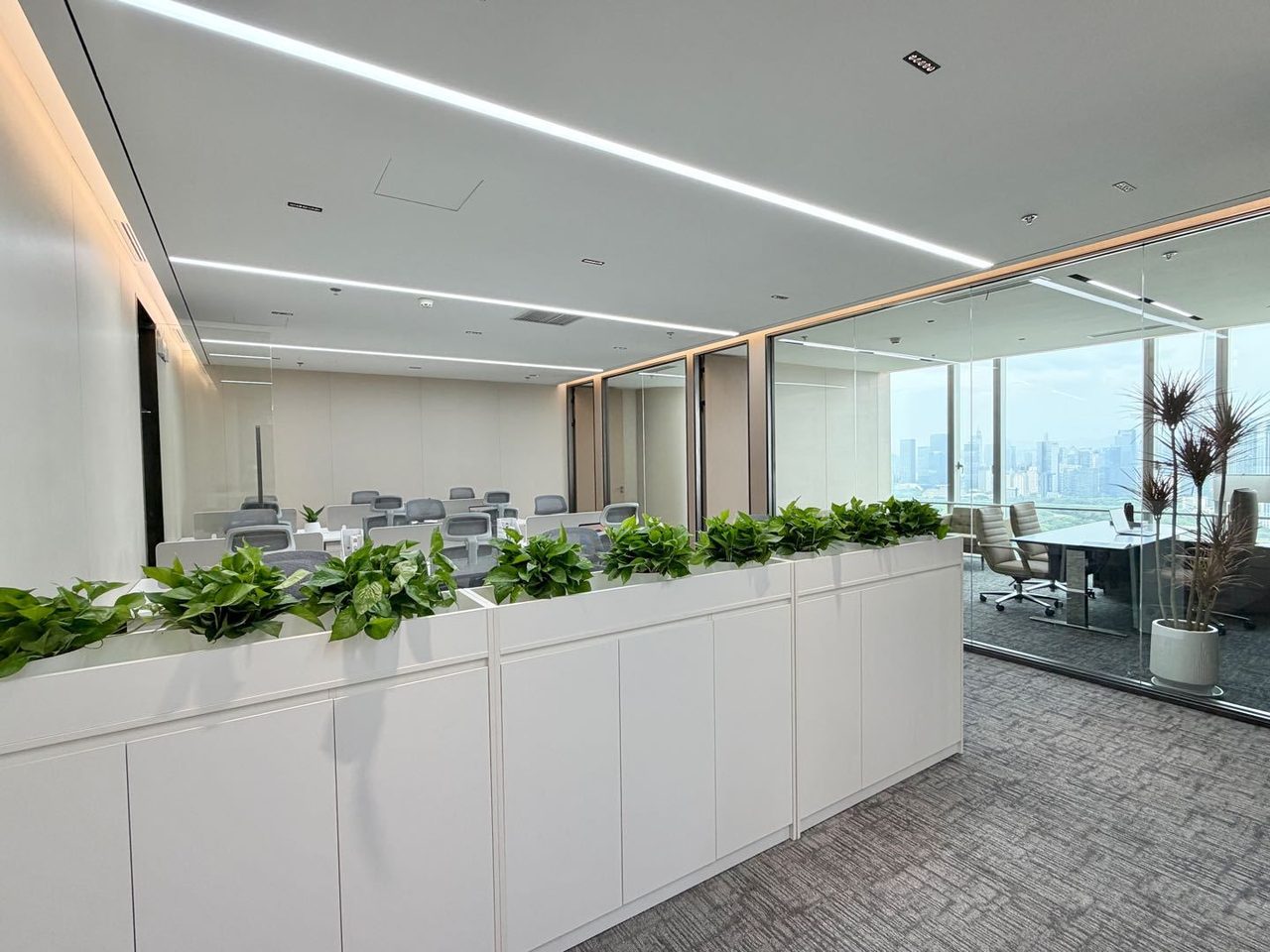 中洲湾 C FutureCity写字楼220㎡精装户型·高层东向出租