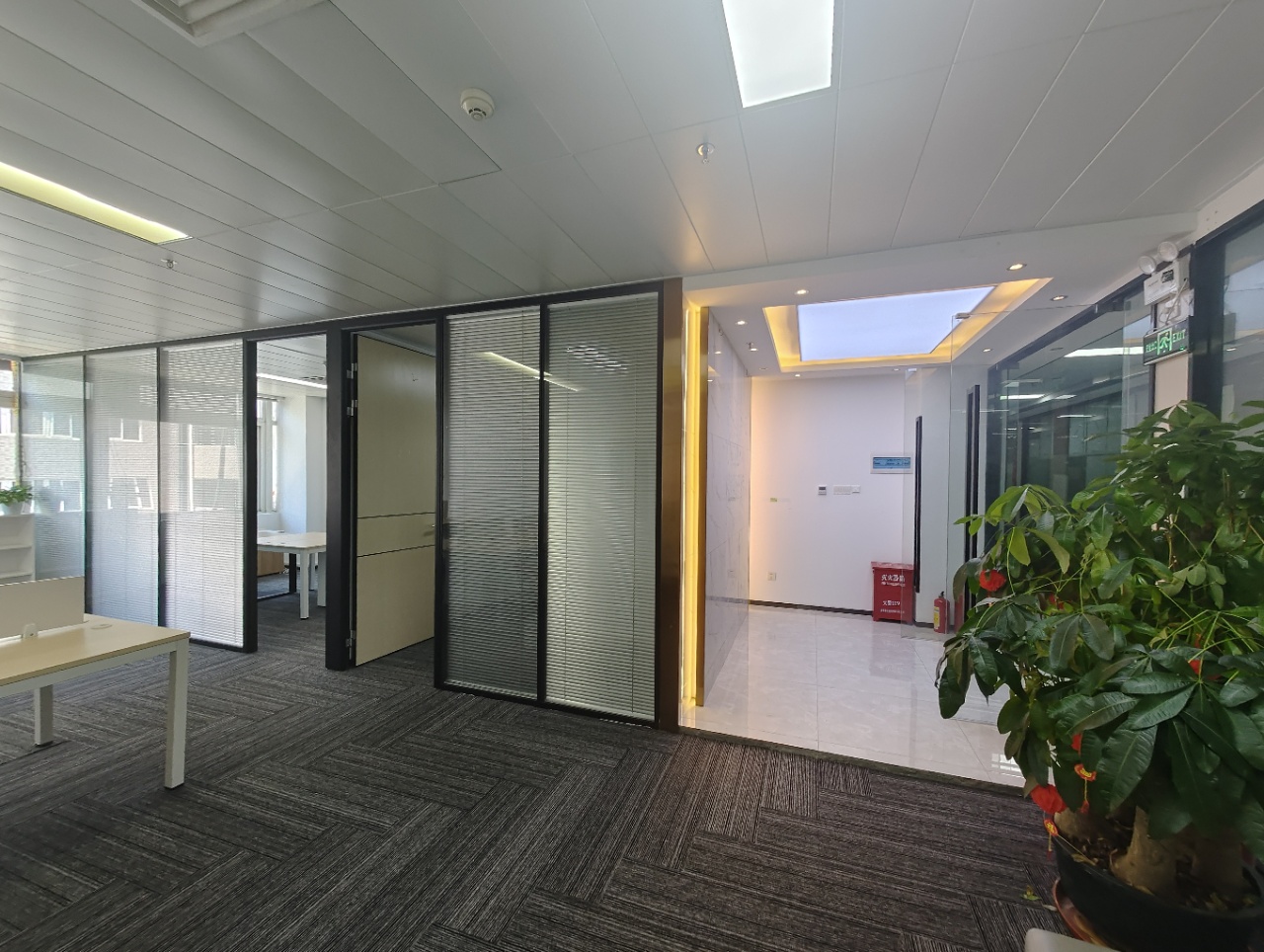 深圳麻雀岭215平出租