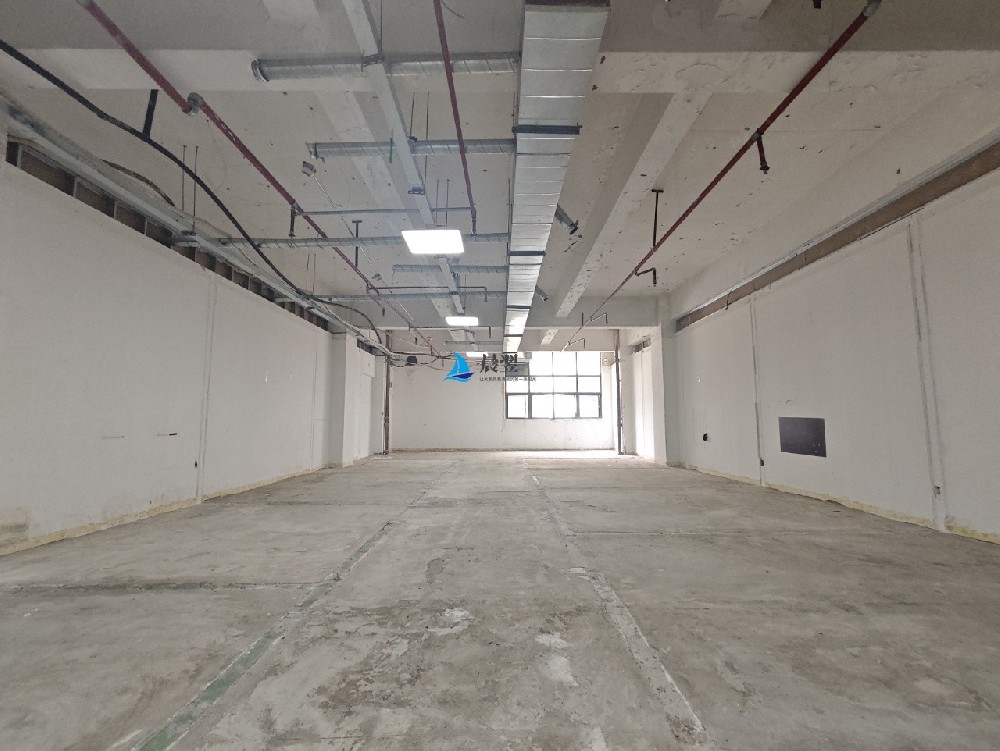 蛇口合欢大厦280平方米空间出租，特价35元，可办公仓库、直播、电商