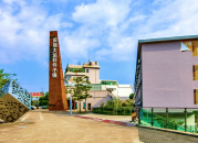 大运软件小镇丨项目招商简介及相关配套详情