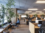 深澳文化产业园  招商中心